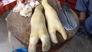 beef Paya Cutting Skills | Fastest Paya Cutting Master | Specialist beef paya Cutting butcher