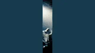 Le Seigneur est une fleur