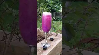 Jamun Soda🫐🍹 | 2 minutes Juice #shorts #viral #soda #jamun #juice #delicious #ytshorts #easyrecipe
