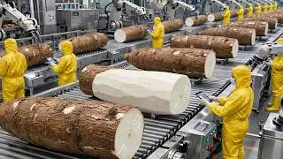 Inside the Largest USA Cassava Flour Factory | Processing 1,000 Tons Daily! 🤯