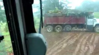 Hauling brush with the old mack