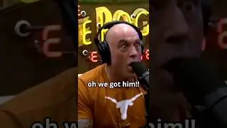 Joe Rogan talks about PRIMAL INSTINCTS🦍 #shorts #jre #podcast