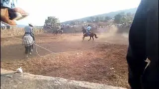 Buena vista 14/dic/2025 hay fechas para contratación 😉
