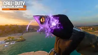 Black Ops 6 Vault Edition All Mastercraft Weapon Inspect Animations | Call Of Duty