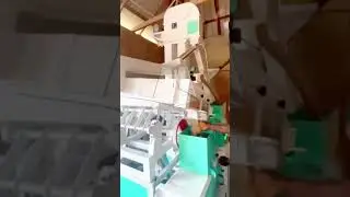 20T/D Compact Rice Mill Plant | Turn Paddy into White Rice in One Step! #ricemillingmachine