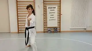 uchi uke chudan zenkutsu dachi shotokan karate