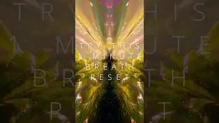 🔸1 Min box breath to reduce pain and stress🔸#breathwork #healing #binauralbeats