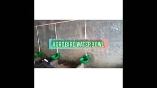 Cow water bow//Cow water Bowl Price