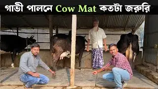 গাভী পালনে Cow Mat কেন ব্যবহার করা হয় | Best Cow Mat In West Bengal
