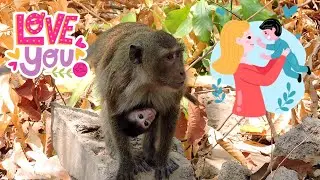 Mother ally provide her son and try to looking food wildlife videos