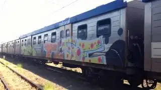 South Afrika Cape Town Yard  Tese Dsf