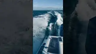 YouTube SHORT!! Happy Friday!! #saltwatertime #fyp