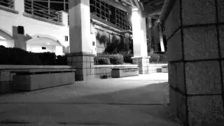Daytona Skateboarding
