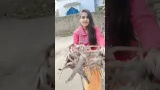 তোমায় পড়াবো আমি ফুলের মালা #youtubeshorts #trendingsong #pikupiku