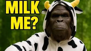 &ldquo;Udder Madness 🥛🤣&rdquo; @bigfootdiaryz 