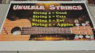 Ukulele String Names Poster
