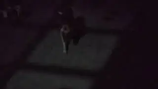 Mi pastor alem&aacute;n xaxo
