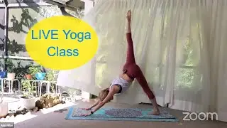 LIVE Online Yoga Classes Now - 12.29.20 1 hour