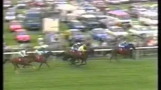 1993 Shadwell Stud Cheshire Oaks