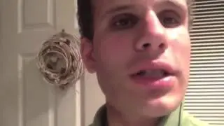 Jason Genova executes Order 66