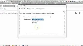 Student Tutorial: Turn It In
