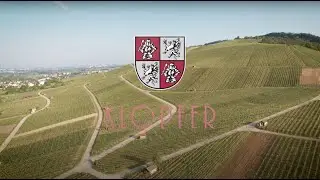 Weingut Klopfer im Remstal - Klopfers Weinprobe f&uuml;r zu Hause