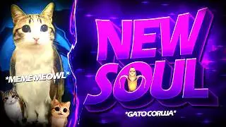 RITMADA NEW S0UL - Gato Coruja - Meowl MEME (FUNK REMIX) by DJ Dart