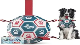 QDAN Dog Balls World Cup Soccer Ball with Straps Durable Herding Balls