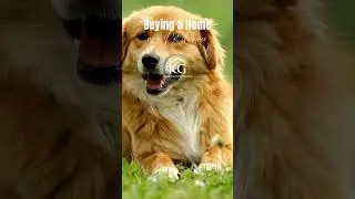 Buying a Home for You & Your Pets: What to Consider!