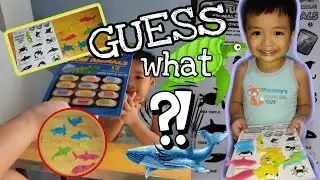 Growing capsule ocean animals || The RYR Squad