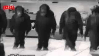 Papa Oom Mow Mow  - The Rivingtones