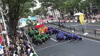 2019 どまつり　愛知学院大学 常笑　東大津通パレード(審査)会場
