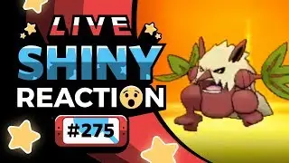 ALMOST FAILED! SHINY SHIFTRY REACTION! | Shiny Living Dex #275