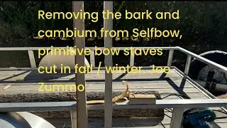 Removing the bark and cambium from Selfbow, primitive bow staves cut in fall / winter by steaming .