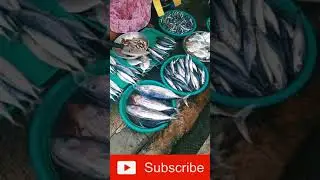 Filipino fish vendor #shorts #fishvendor #shortvideo