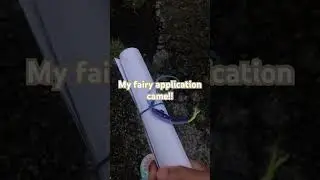 Filling out my application for fairy school before the school year starts!