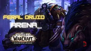 Feral Druid Arena PvP WoW 9.1.5 Convoke POWER