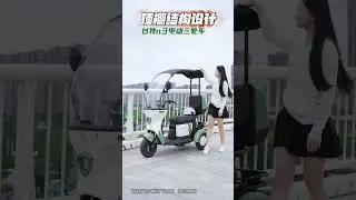 TAILG Leisure Tricycle  Reversing function Reasonable design Roof structure Anti-slip display