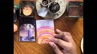 🔮 All Signs Oracle Quickie | Spirit Weaves the Path 🕸️✨ | Nubia Niles Tarot