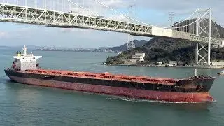 MINERAL DRAGON - Bocimar capesize bulk carrier
