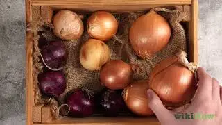 How to Tell if an Onion Is Bad