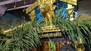 Lord Almighty Ayyappa Sacred Shrine🙏💕👑🔥#youtube #youtubeshorts #shorts #trending #viral #fyp 