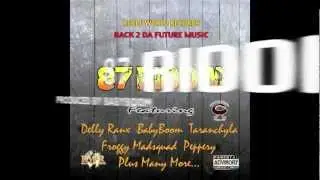 OFFICIAL REBLE WORLD RECORDS 87 RIDDIM PROMO MIX 2012