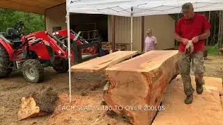 Slabbing pecan with Alaskan Saw Mill