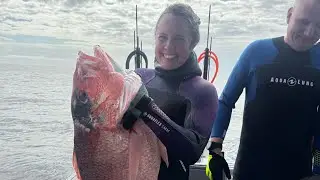 Huge red snapper in a  pyramid!