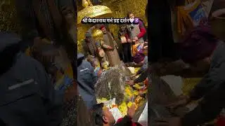 श्री केदारनाथ गर्भ ग्रह दर्शन 🕉️🔱 #kedarnathyatra2025 #chardhamyatra2025