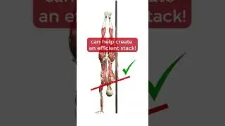 Pole Anatomy - Handstand