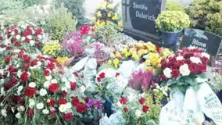 +++ Benjamin Oelerich 10.10.2010 +++