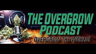 OverGrow PODcast 026: Conversation with Calyxander 73 pictures from OG 420 POTM. Public view