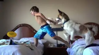 Your pets potential with Tender & True